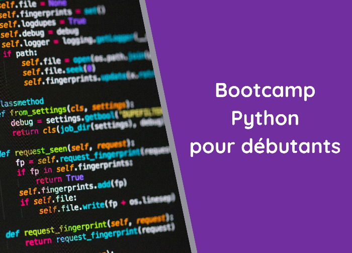 Python bootcamp with Rbean